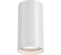 Светильник потолочный ST LUCE белый GU10 1х50W IP20 D52xH100 220V без ламп ST170.502.01