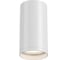 Светильник потолочный ST LUCE белый GU10 1х50W IP20 D52xH100 220V без ламп ST170.502.01 1