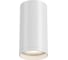 Светильник потолочный ST LUCE белый GU10 1х50W IP20 D52xH100 220V без ламп ST170.502.01 2