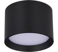 Светильник потолочный ST LUCE черный GX53 1х50W IP20 D85xH60 220V без ламп ST163.402.01