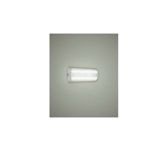 Светильник TECHNOLUX TLM 1xE27 CL КЛЛ, IP65 83292