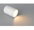 Накладной светильник Crystal lux CLT 084C WH 4
