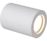 Накладной светильник Crystal lux CLT 422C WH 6
