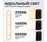 Лампа колориста WIEDERKRAFT с тремя режимами световой температуры, 500 Лм, 4000 мАч WDK-CL500 3