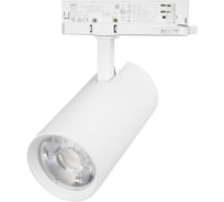 Светильник Arlight LGD-GERA-4TR-R90-30W Warm SP2900-Meat 1шт 060062