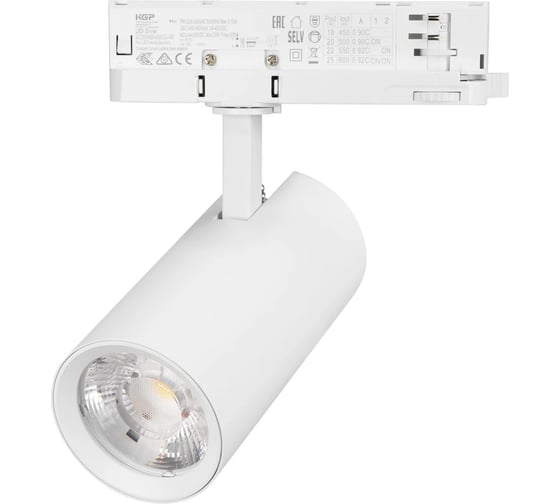 Светильник Arlight LGD-GERA-4TR-R74-20W Warm SP2500-Bread, IP20, металл, 1шт 060023
