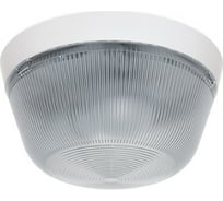 Светильник TECHNOLUX TLR 1хE27 CL КЛЛ, IP65 82844