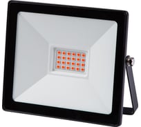 Светодиодный прожектор TDM ELECTRIC СДО-04-030Н-К красный свет 30 Вт, IP65, черный, Народный SQ0336-0222