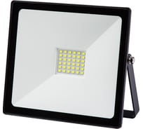 Светодиодный прожектор TDM ELECTRIC СДО-04-050Н-З зелёный свет 50 Вт, IP65, черный, Народный SQ0336-0227