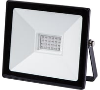 Светодиодный прожектор TDM ELECTRIC СДО-04-030Н-С синий свет 30 Вт, IP65, черный, Народный SQ0336-0230
