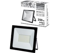 Светодиодный прожектор TDM СДО-04-250Н 250 Вт, 6500 К, IP65, черный, Народный SQ0336-0286