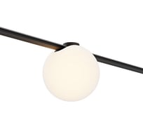Трековый светильник MAYTONI Technical TR236-1-5W3K-B