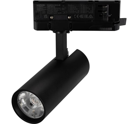 Светильник Arlight LGD-GERA-TRUECOLOR-4TR-R55-10W Day4000 CRI98 IP20 Металл 1шт 059890