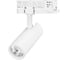 Светильник Arlight LGD-GERA-TRUECOLOR-4TR-R55-10W Day4000 CRI98 IP20 Металл, 1шт 059878 1