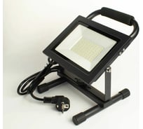 Светодиодный прожектор Петромаш ВЕГАС YX-01W 50W ,6500К, IP65 61598