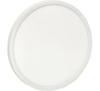 Умный потолочный светильник EKF 300 мм Connect sclwf-300-cct