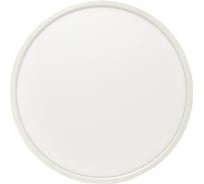 Умный потолочный светильник EKF 480 мм Connect sclwf-480-cct