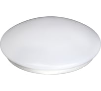 Бытовой светодиодный светильник ЭРА SPB-5-20-4K декоративный 20Вт 4000К 1600лм круг 380х90 белый Б0016922