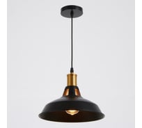 Светильник BayerLux 1955/1BK E27 40Вт черный 27x27x20-170 см 6712034