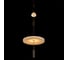 Подвесной светодиодный светильник LOFT IT Flamingo 10598B 6