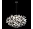 Подвесной светильник LOFT IT Clizia 10231/780 Black 2