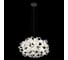 Подвесной светильник LOFT IT Clizia 10595/530 Black 2