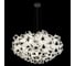 Подвесной светильник LOFT IT Clizia 10595/780 Black 2