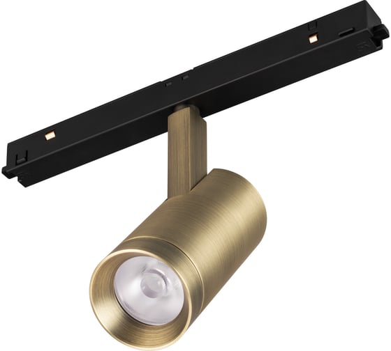 Светильник Arlight MAG-ORIENT-SPOT-R45-12W Day4000 1шт 042259(1)
