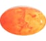 Настенно-потолочный светильник СОНЕКС LED 48W MARS 7725/DLN 6