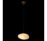 Подвесной светильник LOFT IT Fionora 10531C 2