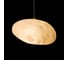 Подвесной светильник LOFT IT Fionora 10531C 6