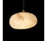 Подвесной светильник LOFT IT Fionora 10531B 4