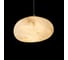 Подвесной светильник LOFT IT Fionora 10531B 6