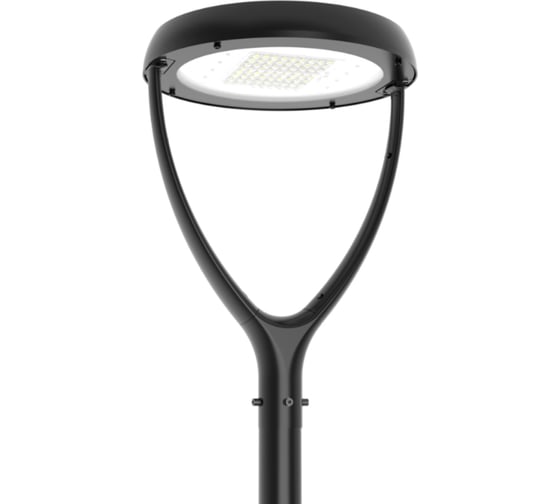 Светодиодный светильник VARTON IONIK Astra парк 60 Вт Plaza 4000К IP66 RAL9005 черный DALI V1-S0-9IA01-07D74-6606040