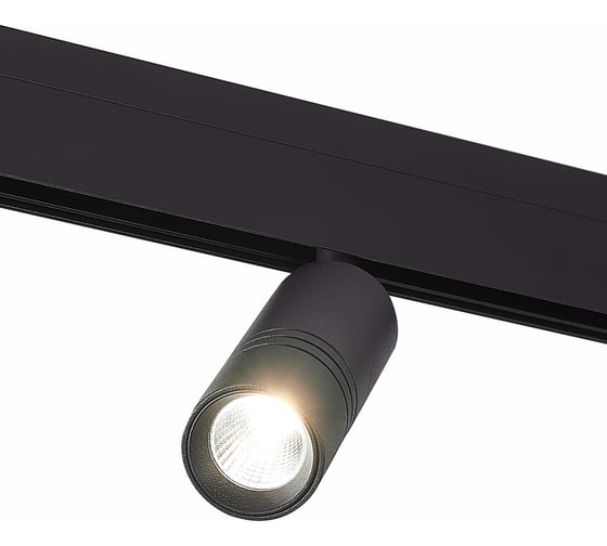 Магнитный трековый светильник ST Luce Черный LED 1*12W 3000K 1 020Lm Ra90 36о IP20 L-xW44xH1 ST365.436.12.1