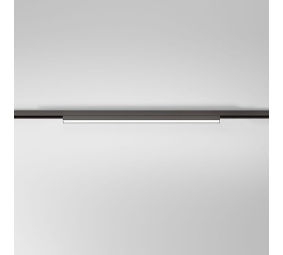 Трековый светильник Elektrostandard Line Magnetic 12W 4000K 85526/01 титан a072695