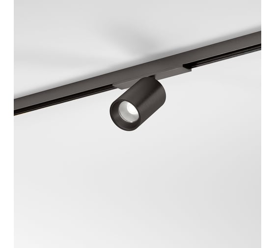 Трековый светильник Elektrostandard Line Magnetic 10W 4000K 85525/01 титан a072693