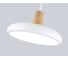 Подвесной светодиодный светильник Ambrella Light COMFORT FL4838 6