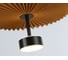 Подвесной светодиодный светильник Ambrella Light High Light LH72607 5