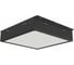 Светильник Diora Griliato Mini 20/2300 opal 5K Black DGM20-O-5K-B 6