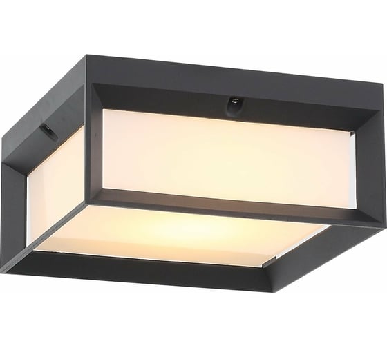 Уличный потолочный светильник ST luce SL077.402.01