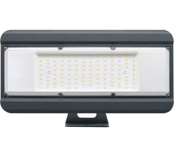 Прожектор светодиодный WOLTA TRILUX 100 Вт, 5700 К, IP65, 9000 лм, серый WFL-100W/09