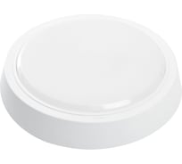 Светодиодный светильник FERON AL3020 в пластиковом корпусе 15W 6500K IP20 белый 41769