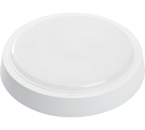 Светодиодный светильник FERON AL3020 в пластиковом корпусе 25W 4000K IP20 белый 41772