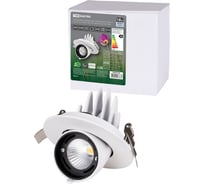 Светильник встраиваемый поворотный "Акцент-1" LED DSL-01-018-NW 18 Вт, 24°, 4000 К, 90 Ra, IP40 TDM ELECTRIC SQ0369-0403