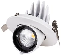Светильник встраиваемый поворотный "Акцент-1" LED DSL-01-018-WW 18 Вт, 24°, 3000 К, 90 Ra, IP40 TDM ELECTRIC SQ0369-0400