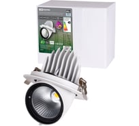 Светильник встраиваемый поворотный "Акцент-1" LED DSL-01-040-NW 40 Вт, 24°, 4000 К, 90 Ra, IP40 TDM ELECTRIC SQ0369-0405