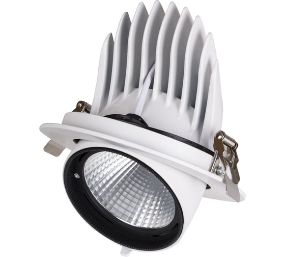 Встраиваемый светильник TDM ELECTRIC поворотный Акцент-1 LED DSL-01-040-NW 40 Вт, 24 градуса, 4000 К, 90 Ra, SQ0369-0405