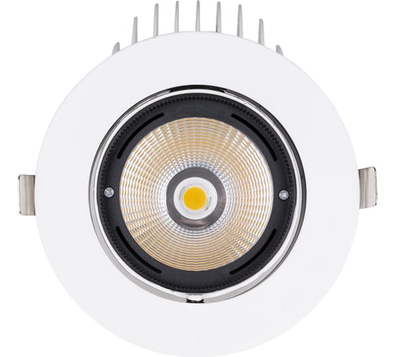 Встраиваемый светильник TDM ELECTRIC поворотный Акцент-1 LED DSL-01-040-NW 40 Вт, 24 градуса, 4000 К, 90 Ra, SQ0369-0405