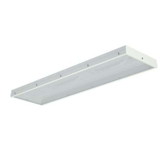 Светильник TECHNOLUX TL08 TG IP54 7400 лм, 4000 K, 60 Вт, IP54 04861